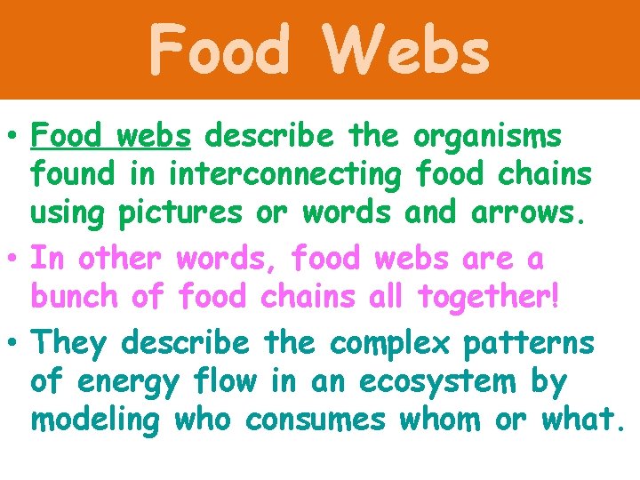 Food Webs • Food webs describe the organisms found in interconnecting food chains using