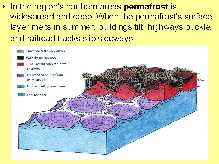 • In the region's northern areas permafrost is widespread and deep. When the