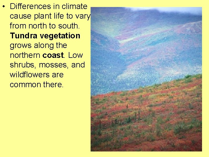  • Differences in climate cause plant life to vary from north to south.