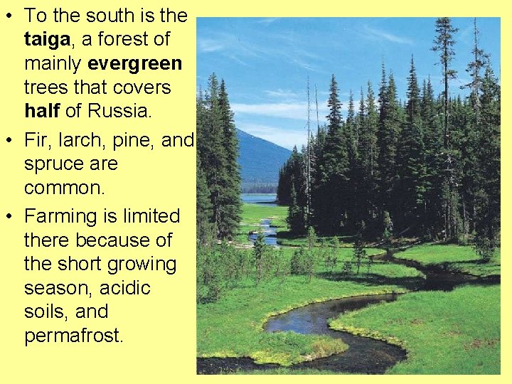  • To the south is the taiga, a forest of mainly evergreen trees