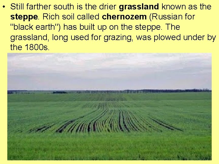  • Still farther south is the drier grassland known as the steppe. Rich