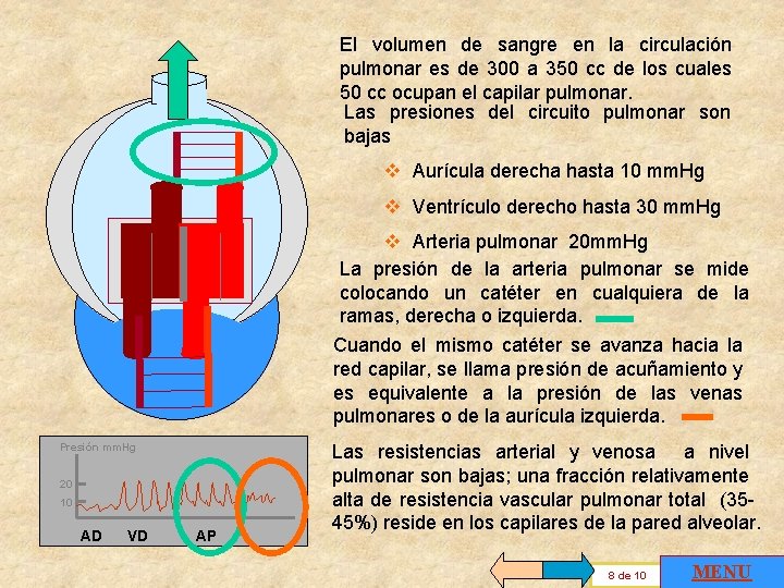 El volumen de sangre en la circulación pulmonar es de 300 a 350 cc