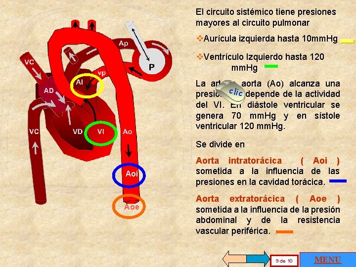 El circuito sistémico tiene presiones mayores al circuito pulmonar v. Aurícula izquierda hasta 10