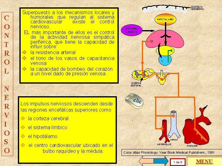 C O N T R O L N E R V I O Superpuesto