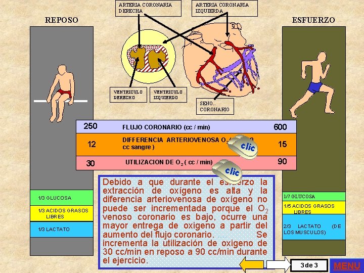 ARTERIA CORONARIA DERECHA ARTERIA CORONARIA IZQUIERDA ESFUERZO REPOSO VENTRICULO DERECHO VENTRICULO IZQUIERDO SENO. .