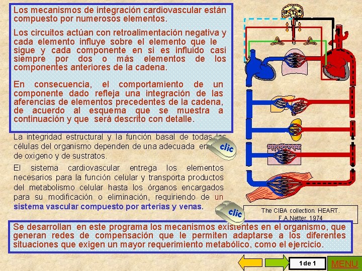 Los mecanismos de integración cardiovascular están compuesto por numerosos elementos. Los circuitos actúan con