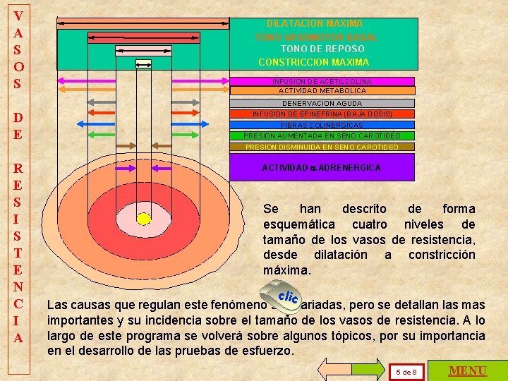 V A S O S DILATACION MAXIMA TONO VASOMOTOR BASAL TONO DE REPOSO CONSTRICCION