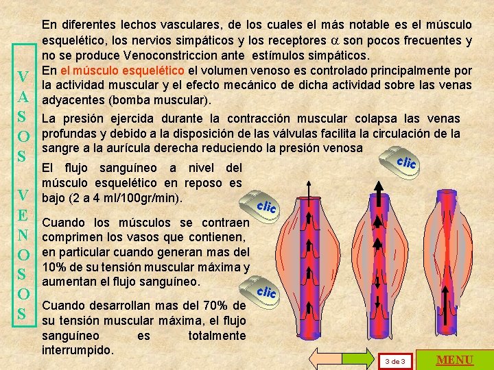 V A S O S V E N O S En diferentes lechos vasculares,