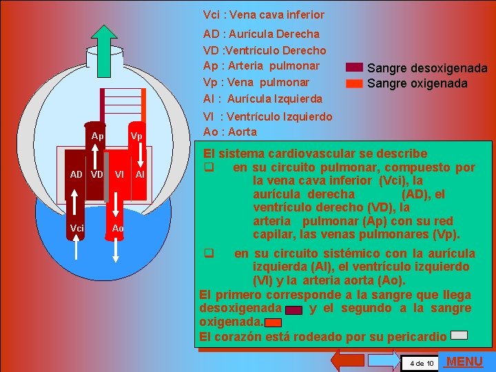 Vci : Vena cava inferior AD : Aurícula Derecha VD : Ventrículo Derecho Ap