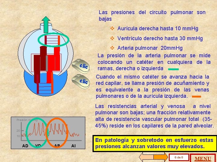 Las presiones del circuito pulmonar son bajas v Aurícula derecha hasta 10 mm. Hg