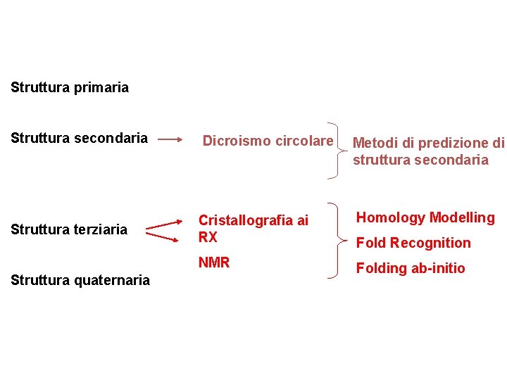 Struttura primaria Struttura secondaria Dicroismo circolare Metodi di predizione di struttura secondaria Struttura terziaria