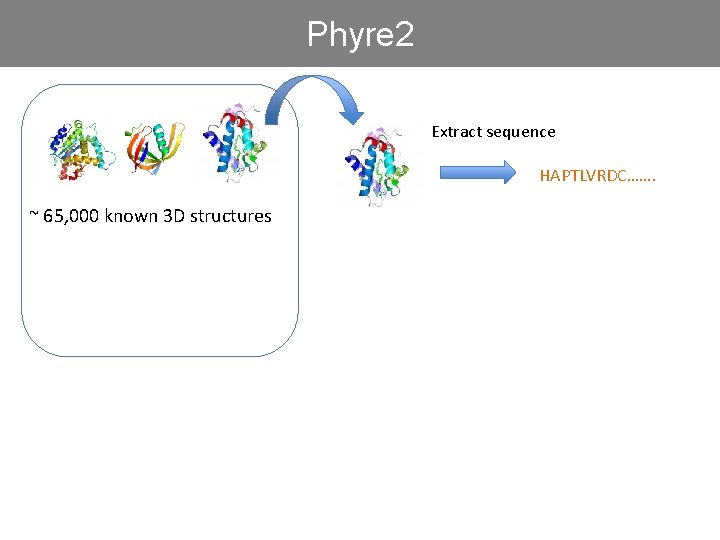 Phyre 2 Extract sequence HAPTLVRDC……. ~ 65, 000 known 3 D structures 