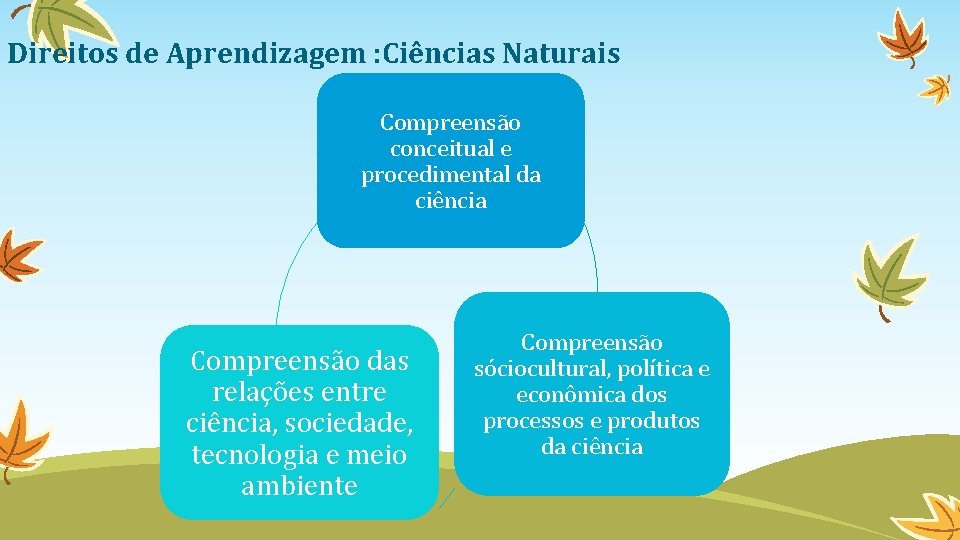 Direitos de Aprendizagem : Ciências Naturais Compreensão conceitual e procedimental da ciência Compreensão das