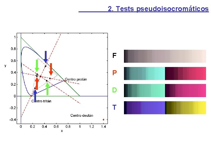 2. Tests pseudoisocromáticos F P D T 