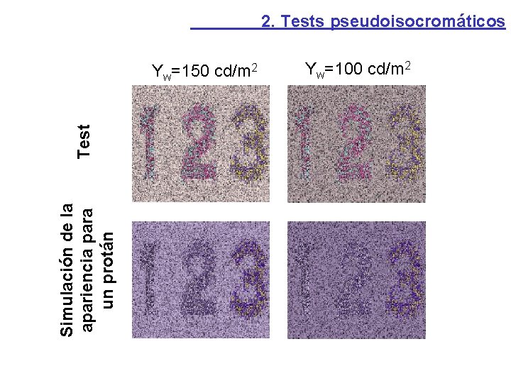 2. Tests pseudoisocromáticos Simulación de la apariencia para un protán Test Yw=150 cd/m 2