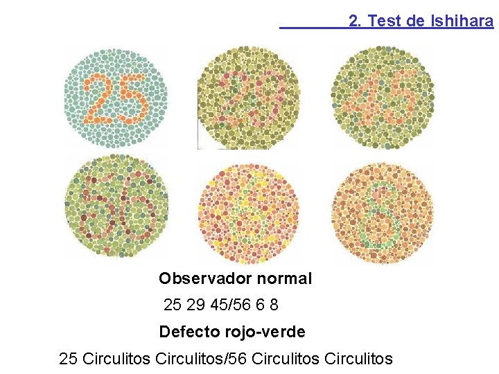 2. Test de Ishihara Observador normal 25 29 45/56 6 8 Defecto rojo-verde 25