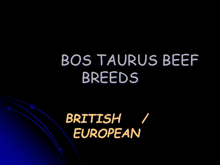 BOS TAURUS BEEF BREEDS BRITISH / EUROPEAN BOS TAURUS BEEF BREEDS BRITISH / EUROPEAN