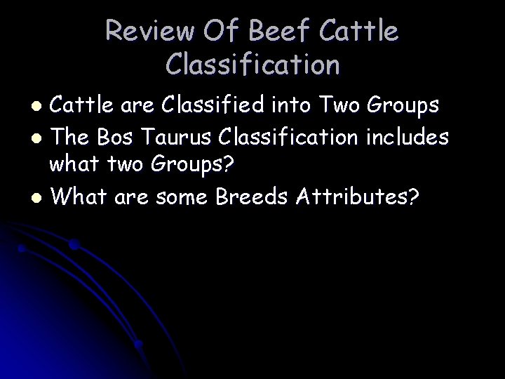 Review Of Beef Cattle Classification Cattle are Classified into Two Groups l The Bos