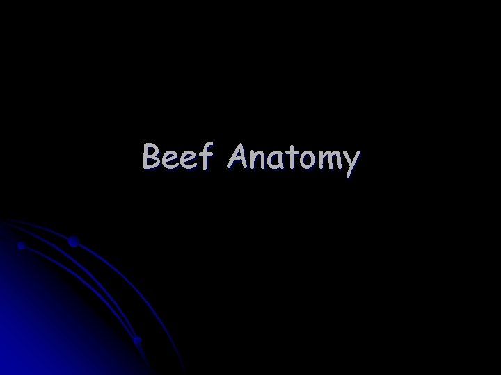 Beef Anatomy Beef Anatomy
