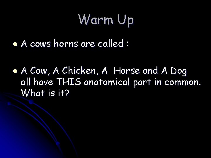 Warm Up l l A cows horns are called : A Cow, A Chicken,