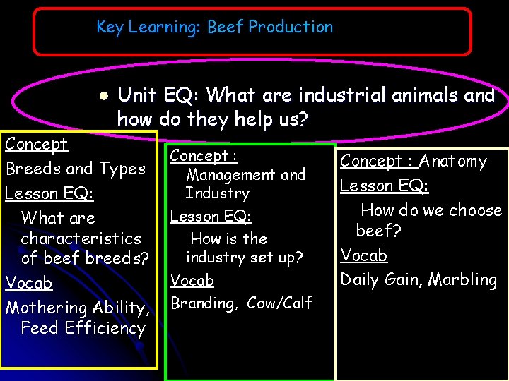 Key Learning: Beef Production l Unit EQ: What are industrial animals and how do Key Learning: Beef Production l Unit EQ: What are industrial animals and how do