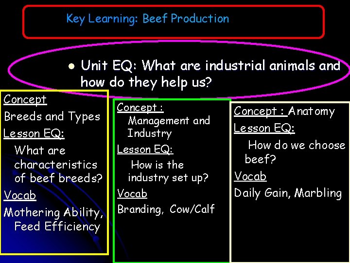 Key Learning: Beef Production l Unit EQ: What are industrial animals and how do