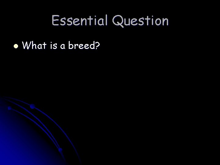 Essential Question l What is a breed? 