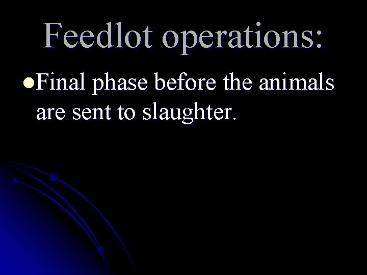 Feedlot operations: l. Final phase before the animals are sent to slaughter. 