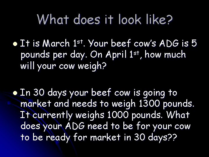What does it look like? l l It is March 1 st. Your beef