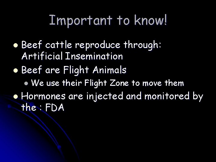 Important to know! Beef cattle reproduce through: Artificial Insemination l Beef are Flight Animals Important to know! Beef cattle reproduce through: Artificial Insemination l Beef are Flight Animals