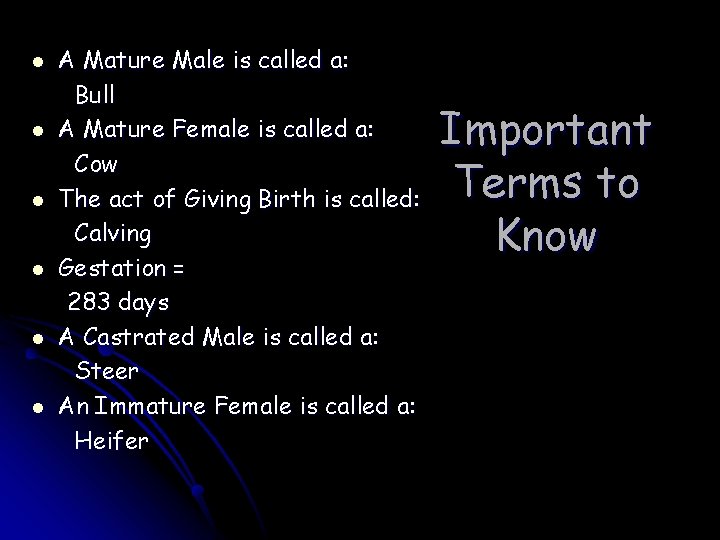 l l l A Mature Male is called a: Bull A Mature Female is