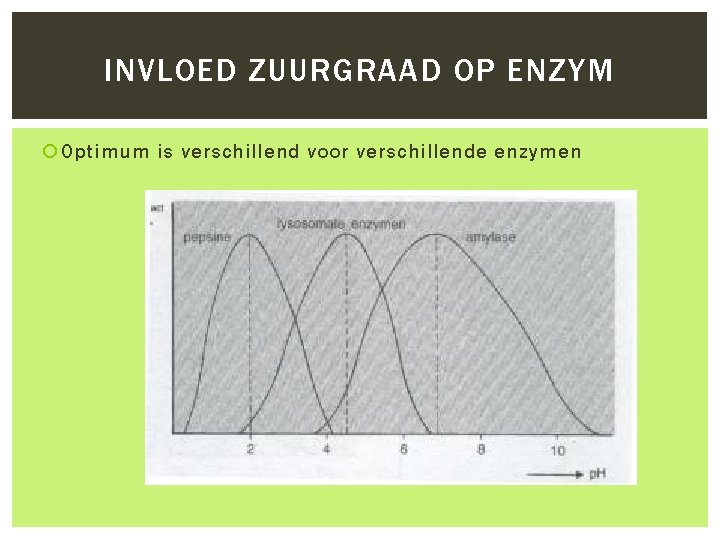 INVLOED ZUURGRAAD OP ENZYM Optimum is verschillend voor verschillende enzymen 