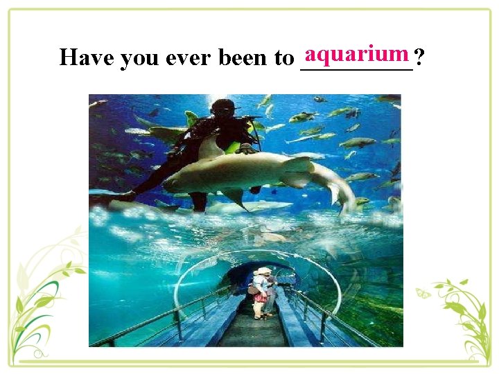 aquarium Have you ever been to _____? 