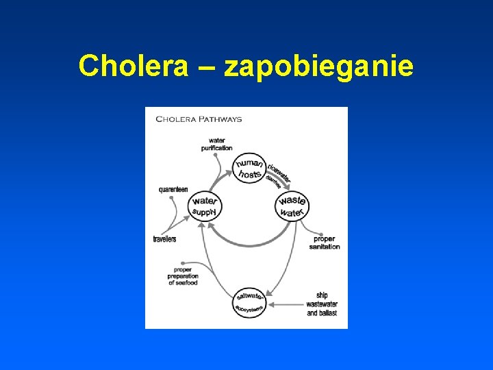 Cholera – zapobieganie 