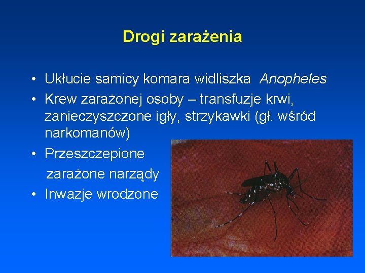 Drogi zarażenia • Ukłucie samicy komara widliszka Anopheles • Krew zarażonej osoby – transfuzje