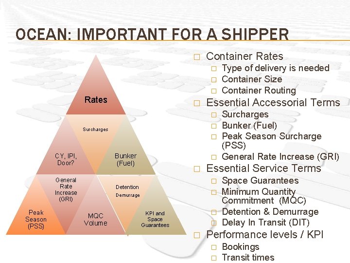 OCEAN: IMPORTANT FOR A SHIPPER � Container Rates � � � Rates � Essential