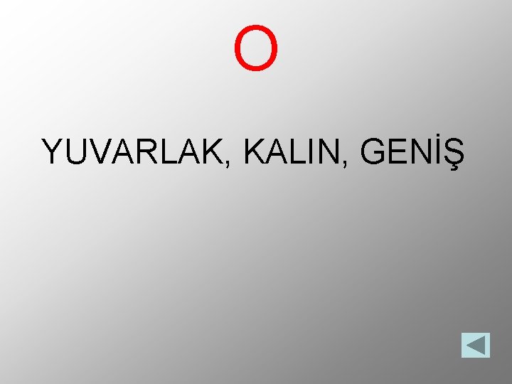 O YUVARLAK, KALIN, GENİŞ 