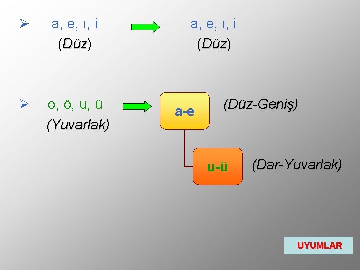 Ø a, e, ı, i (Düz) Düz Ø o, ö, u, ü (Yuvarlak) a,