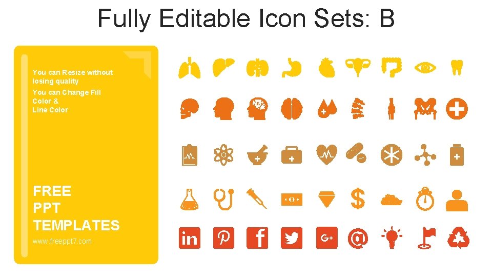 Fully Editable Icon Sets: B You can Resize without losing quality You can Change