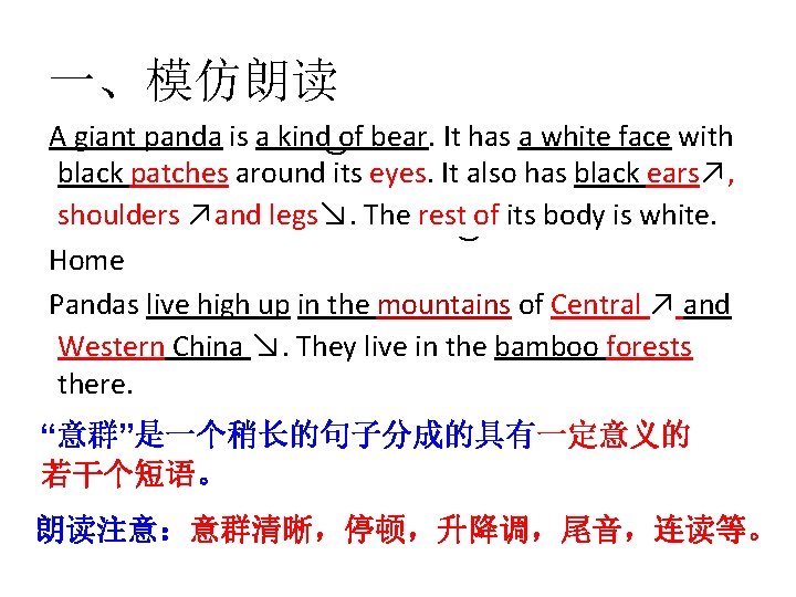 一、模仿朗读 A giant panda is a kind of bear. It has a white face