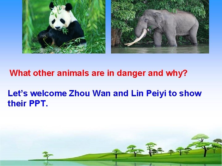 What other animals are in danger and why? Let’s welcome Zhou Wan and Lin