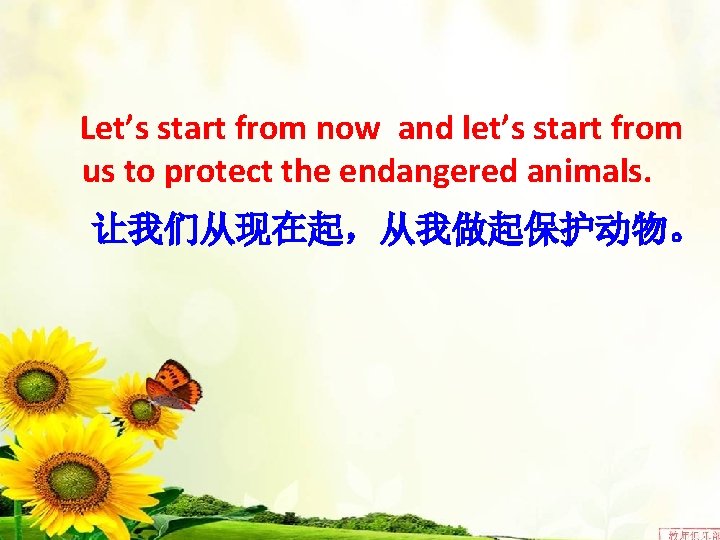 Let’s start from now and let’s start from us to protect the endangered animals.