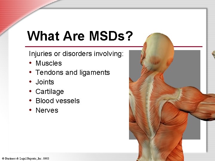 What Are MSDs? Injuries or disorders involving: • Muscles • Tendons and ligaments •