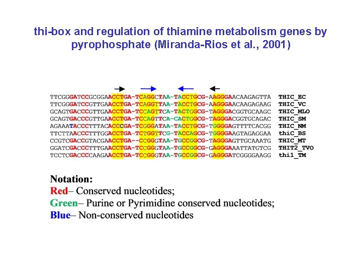 thi-box and regulation of thiamine metabolism genes by pyrophosphate (Miranda-Rios et al. , 2001)