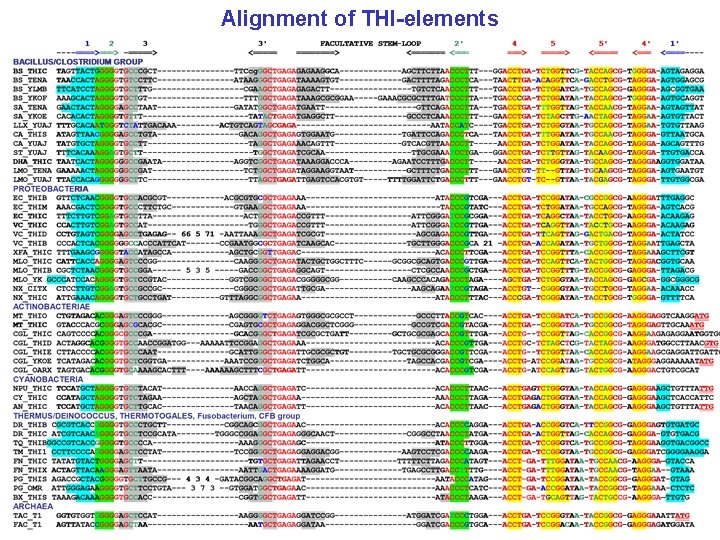 Alignment of THI-elements 