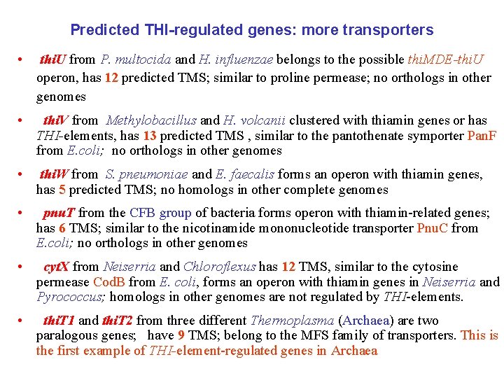 Predicted THI-regulated genes: more transporters • thi. U from P. multocida and H. influenzae