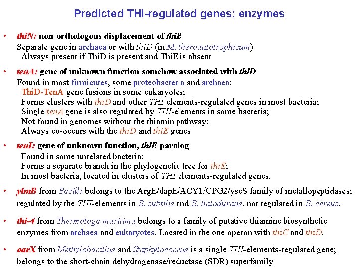 Predicted THI-regulated genes: enzymes • thi. N: non-orthologous displacement of thi. E Separate gene