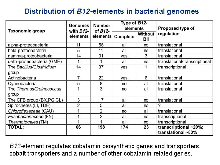 Distribution of B 12 -elements in bacterial genomes B 12 -element regulates cobalamin biosynthetic