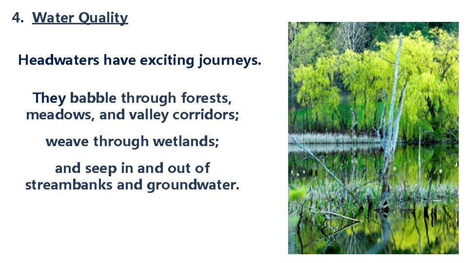 4. Water Quality Headwaters have exciting journeys. They babble through forests, meadows, and valley