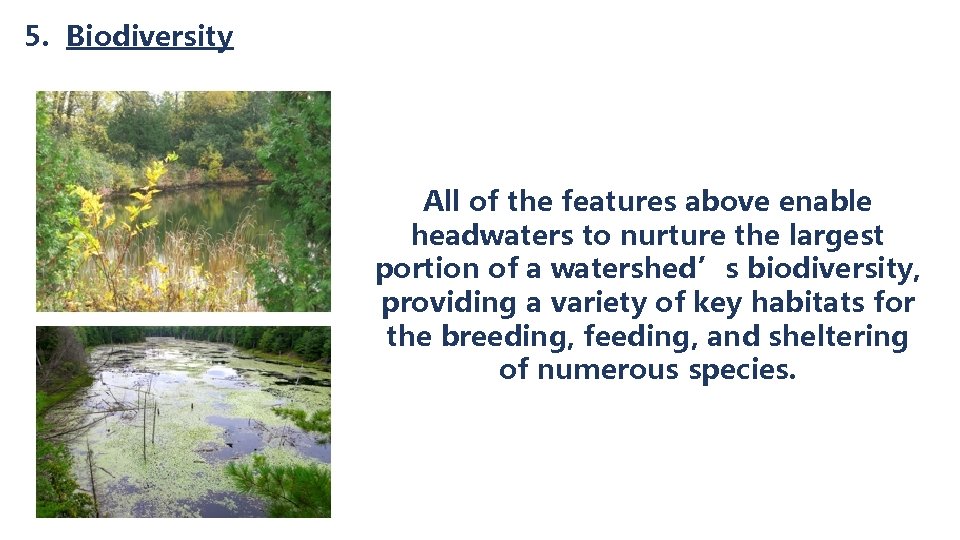 5. Biodiversity All of the features above enable headwaters to nurture the largest portion